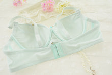 Push Up Gather Underwear Female Embroidered Bra Set