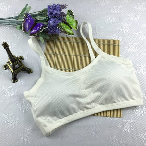 Wire free Shakeproof  Padded Bra