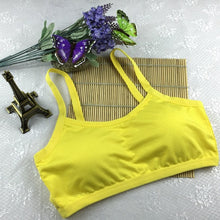 Wire free Shakeproof  Padded Bra