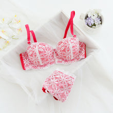 Push Up  Floral Embroidery  Bra Set